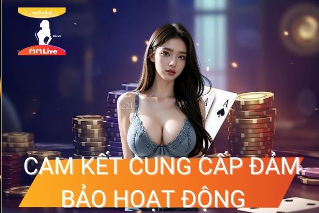 Điều Khoản và Điều Kiện MMlive: Quy Định Sử Dụng Quan Trọng MMlive cam kết cung cấp, đảm bảo hoạt động ổn định