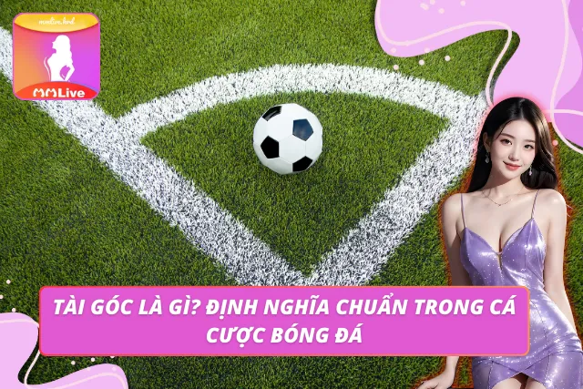 Tài Góc Là Gì? Hướng Dẫn Soi Kèo Chuẩn Cao Thủ Năm 2026 Minh họa kèo tài góc là gì qua bảng tỷ lệ trên MMLIVE