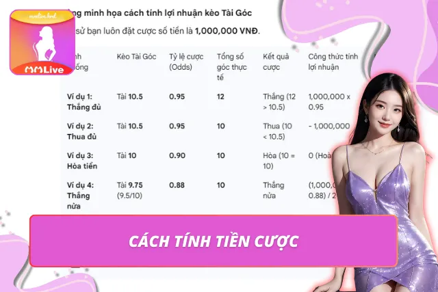 Tài Góc Là Gì? Hướng Dẫn Soi Kèo Chuẩn Cao Thủ Năm 2026 Bảng minh họa cách tính lợi nhuận khi chơi tài góc