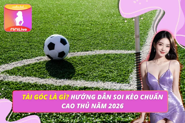 Tài Góc Là Gì? Hướng Dẫn Soi Kèo Chuẩn Cao Thủ Năm 2026 Tài Góc Là Gì
