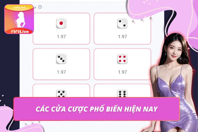 Tài Xỉu – Đỉnh Cao Cá Cược Xúc Xắc Trực Tuyến Uy Tín 2026 Một số cửa cược phổ biến trong tài xỉu hiện nay